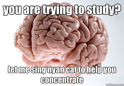 you are trying to study? let me sing nyan cat to help you concentrate   Scumbag Brain