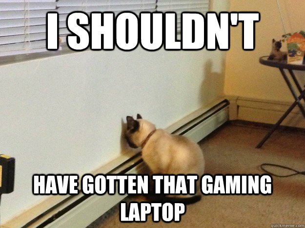 I shouldn't have gotten that gaming laptop - I shouldn't have gotten that gaming laptop  Regretful Cat