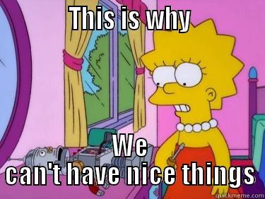             THIS IS WHY             WE CAN'T HAVE NICE THINGS Misc