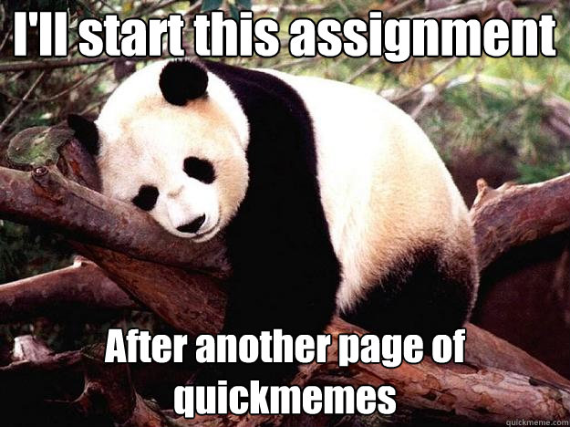 I'll start this assignment After another page of quickmemes  Procrastination Panda