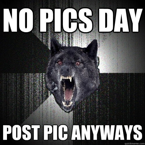 No pics day  post pic anyways  Insanity Wolf