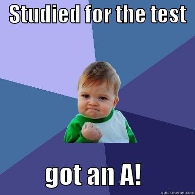   STUDIED FOR THE TEST             GOT AN A!           Success Kid
