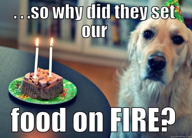 Happy Birthday Debra! - . . .SO WHY DID THEY SET OUR FOOD ON FIRE? Sad Birthday Dog