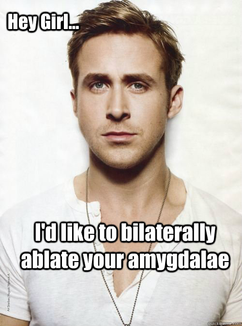 Hey Girl... I'd like to bilaterally ablate your amygdalae  