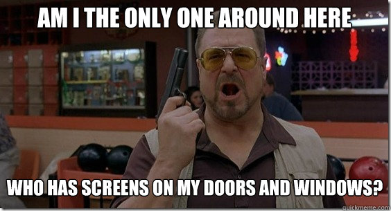Am I the only one around here Who has screens on my doors and windows?  Walter Sobchak Rules