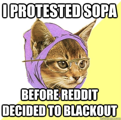 I protested Sopa before reddit decided to blackout  Hipster Kitty