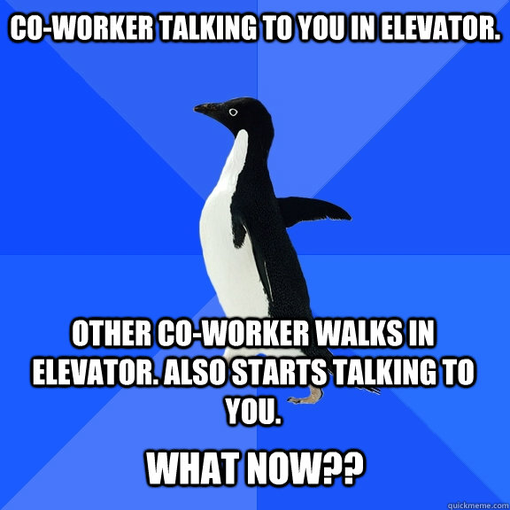 Co-Worker Talking to You in Elevator. Other co-worker walks in Elevator. Also starts talking to you.  What now??  Socially Awkward Penguin