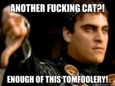 Another fucking CAT?! enough of this tomfoolery!  Downvoting Roman