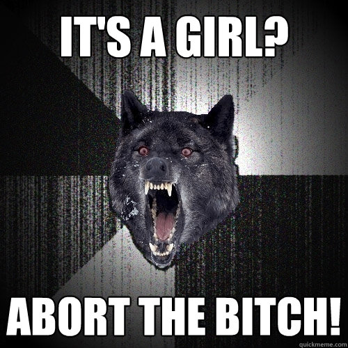 IT'S A GIRL? ABORT THE BITCH!  Insanity Wolf