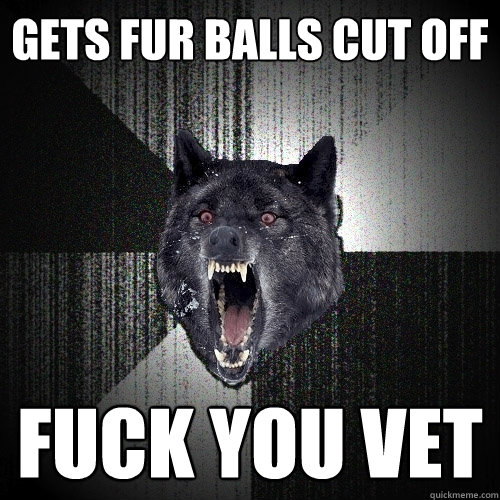 gets fur balls cut off fuck you vet  Insanity Wolf