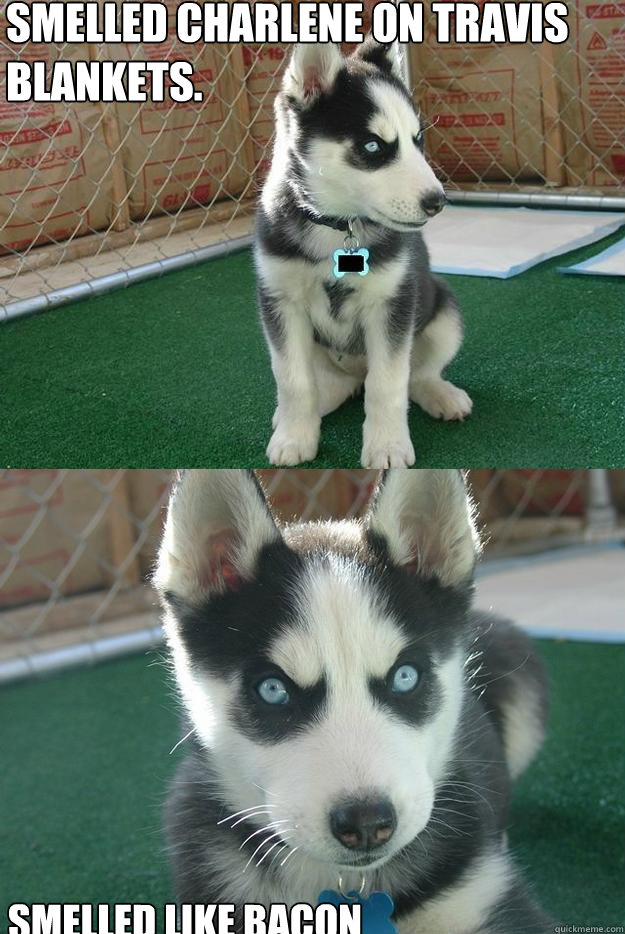 Smelled Charlene on Travis Blankets. SMELLED LIKE BACON  Insanity puppy