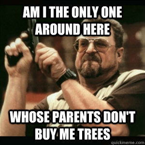 Am i the only one around here whose parents don't buy me trees  Am I The Only One Round Here