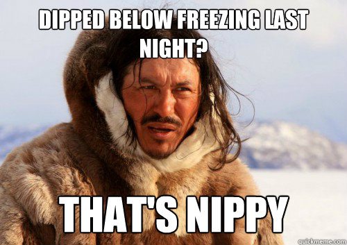 dipped below freezing last night? that's nippy  Unimpressed Eskimo