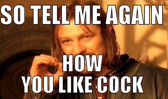 SO TELL ME AGAIN  HOW YOU LIKE COCK Boromir