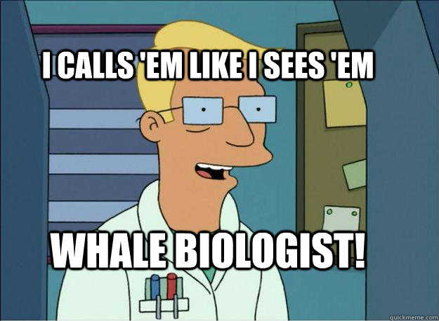 I calls 'em like I sees 'em Whale biologist!  Honest Whale Biologist