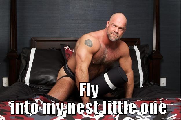  FLY INTO MY NEST LITTLE ONE Gorilla Man
