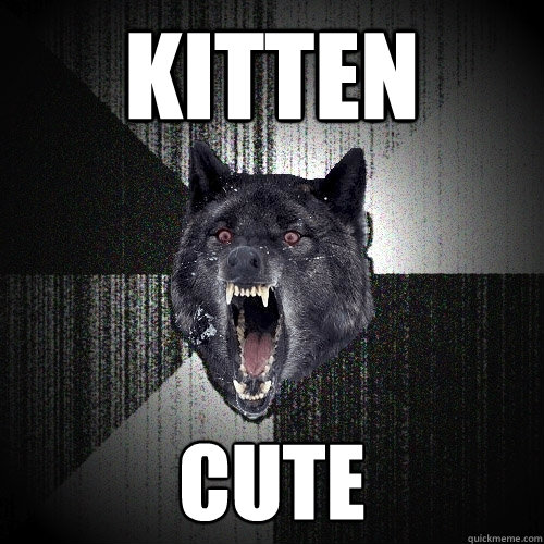 Kitten Cute  Insanity Wolf