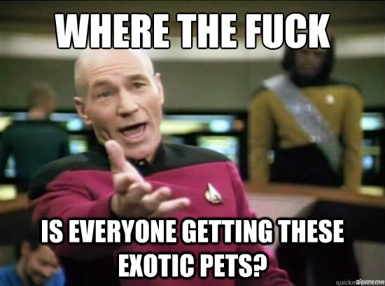 Where the fuck is everyone getting these exotic pets?  Annoyed Picard HD