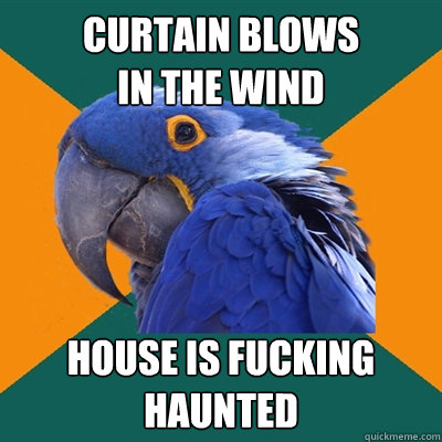 Curtain blows 
in the wind house is fucking haunted  Paranoid Parrot
