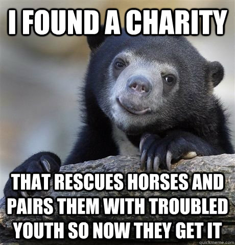 i found a charity that rescues horses and pairs them with troubled youth so now they get it - i found a charity that rescues horses and pairs them with troubled youth so now they get it  HAPPY CONFESSION BEAR