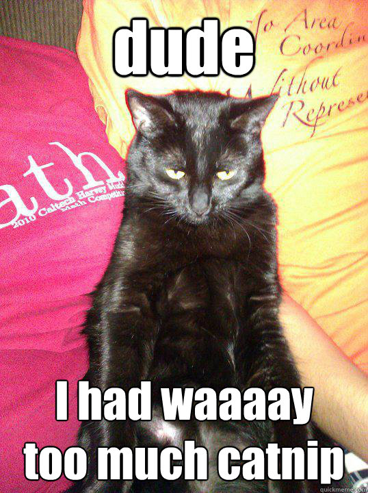 dude I had waaaay
too much catnip  