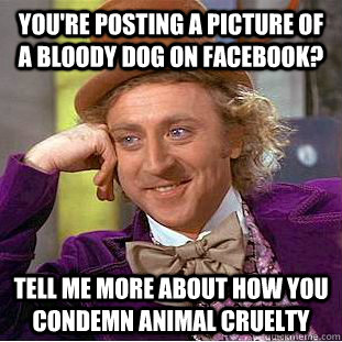 you're posting a picture of a bloody dog on facebook? tell me more about how you condemn animal cruelty  Condescending Wonka