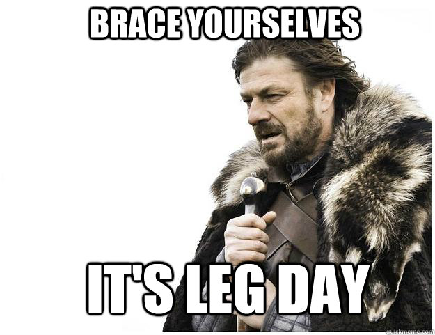 Brace yourselves it's leg day  Imminent Ned