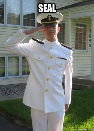 seal   Awkward Midshipman