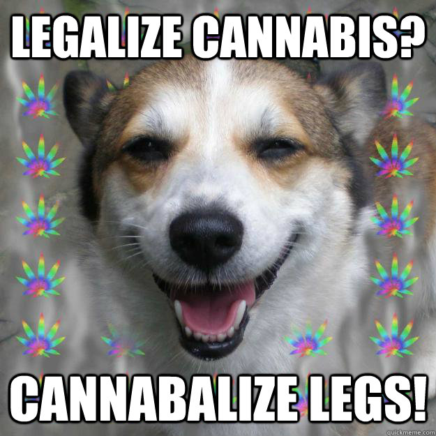 legalize cannabis? cannabalize legs!  