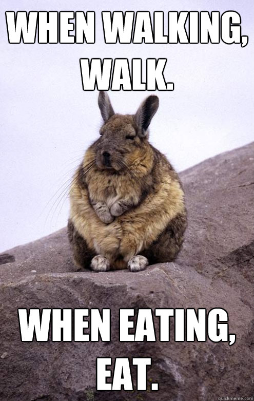 When walking, walk. When eating, eat.  Zen Rabbit