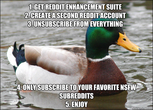 1. Get REddit enhancement suite 
2. create a second reddit account
3. unsubscribe from everything 4. only subscribe to your favorite NSFW subreddits
5. Enjoy  Actual Advice Mallard