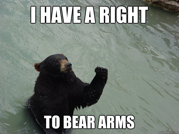 I HAVE A RIGHT TO BEAR ARMS  Vengeful Bear