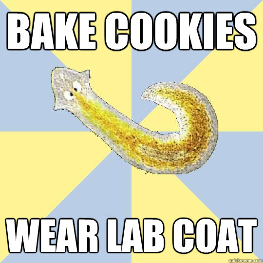 Bake cookies Wear lab coat  Bio Major Planarian