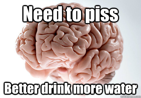 Need to piss Better drink more water  Scumbag Brain