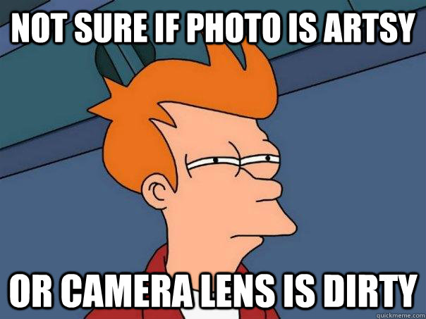 Not sure if photo is artsy or camera lens is dirty - Not sure if photo is artsy or camera lens is dirty  Futurama Fry