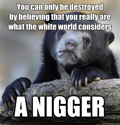 You can only be destroyed 
by believing that you really are 
what the white world considers A NIGGER  Confession Bear