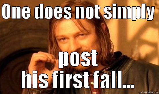 ONE DOES NOT SIMPLY  POST HIS FIRST FALL... Boromir