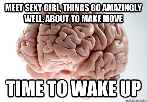 meet sexy girl, things go amazingly well, about to make move Time to wake up  Scumbag Brain