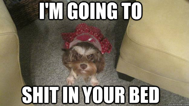 I'm going to Shit in your bed  