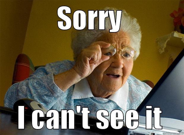 SORRY I CAN'T SEE IT Grandma finds the Internet