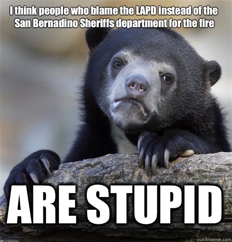 I think people who blame the LAPD instead of the San Bernadino Sheriffs department for the fire ARE STUPID  Confession Bear