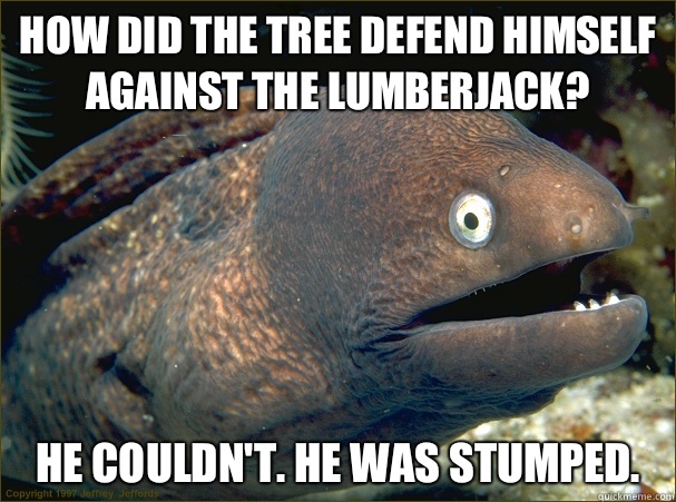 How did the tree defend himself against the lumberjack? He couldn't. He was stumped.  Bad Joke Eel