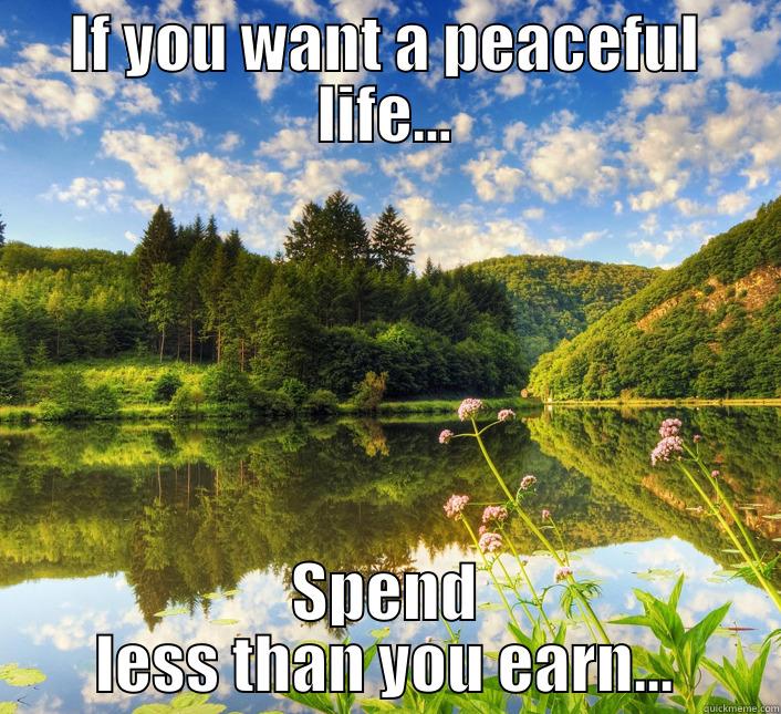IF YOU WANT A PEACEFUL LIFE... SPEND LESS THAN YOU EARN... First World Problems