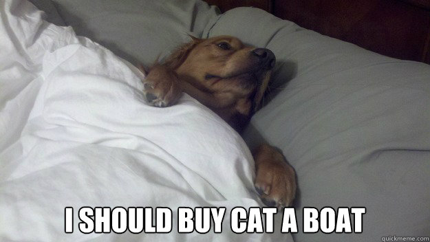 i should buy cat