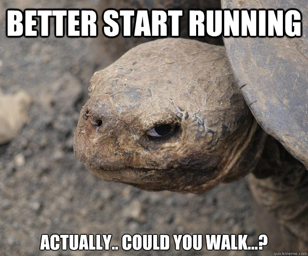 Better start running actually.. could you walk...?  Insanity Tortoise