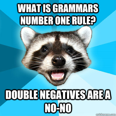 WHAT IS GRAMMARS NUMBER ONE RULE? DOUBLE NEGATIVES ARE A NO-NO  Lame Pun Coon