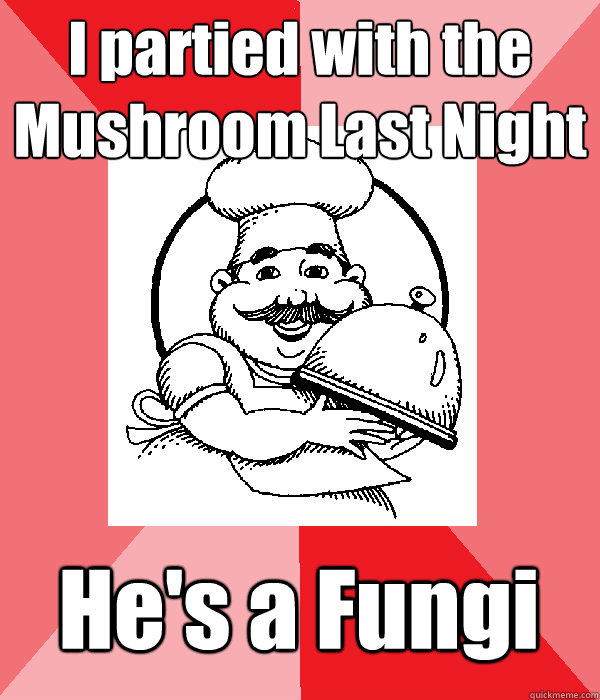 I partied with the Mushroom Last Night He's a Fungi - I partied with the Mushroom Last Night He's a Fungi  Lame Pun Chef