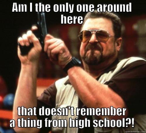 High School! - AM I THE ONLY ONE AROUND HERE THAT DOESN'T REMEMBER A THING FROM HIGH SCHOOL?! Am I The Only One Around Here