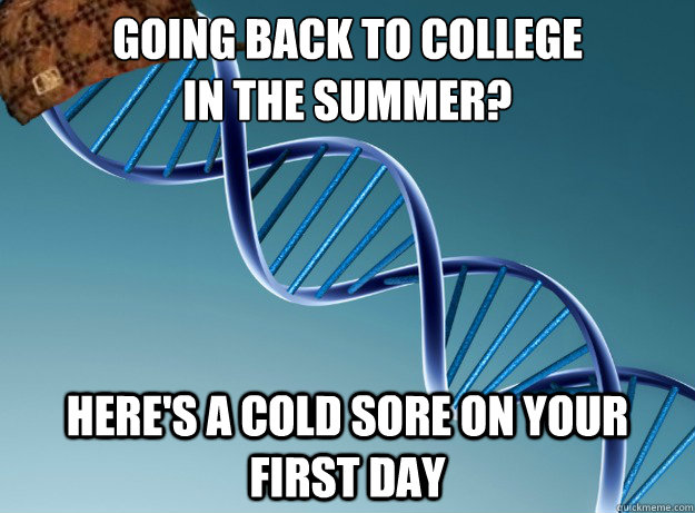 Going back to college 
in the summer? Here's a cold sore on your first day - Going back to college 
in the summer? Here's a cold sore on your first day  Scumbag Genetics