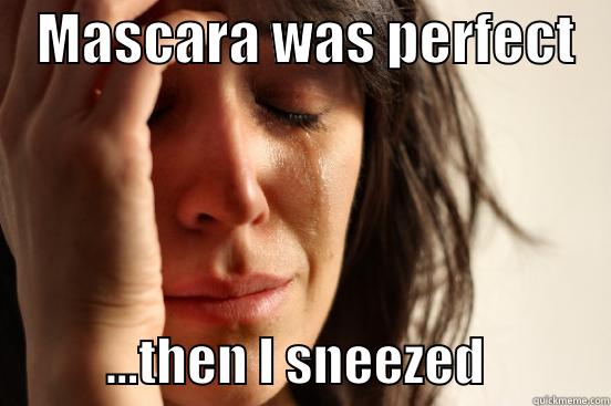    MASCARA WAS PERFECT               ...THEN I SNEEZED            First World Problems